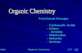 1 Functional Groups: - Carboxylic Acids - Esters - Amides - Aldehydes - Ketones - Amines Mr. Shields Regents Chemistry U17 L02.