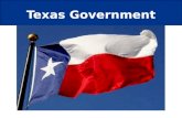 Texas Government. State constitution  Basic principles  Protection of civil rights  Structure of state government  Powers of the branches of State.