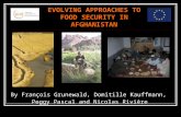 EVOLVING APPROACHES TO FOOD SECURITY IN AFGHANISTAN By François Grunewald, Domitille Kauffmann, Peggy Pascal and Nicolas Rivière.