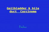 Gallbladder & bile duct Carcinoma Dr. m. h.khosravi.