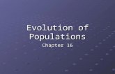 Evolution of Populations Chapter 16. Warm Up 1/30 & 1/31 1.Explain how the terms trait, gene, and allele are related. 2.What is genetic drift and what.