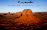 Dyspepsia MAHSA KHODADOOSTAN-- GASTROENTROLOGIST.