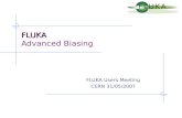 FLUKA FLUKA Advanced Biasing FLUKA Users Meeting CERN 31/05/2007.