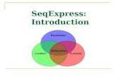 SeqExpress: Introduction. Features Visualisation Tools  Data: gene expression, gene function and gene location.  Analysis: probability models, hierarchies.