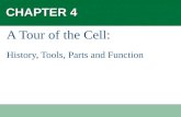 CHAPTER 4 A Tour of the Cell: History, Tools, Parts and Function.