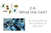 2.6 What the Cell? An introduction to the cell theory & discovery.