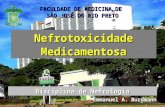 FACULDADE DE MEDICINA DE SÃO JOSÉ DO RIO PRETO Nefrotoxicidade Medicamentosa Emmanuel A. Burdmann Disciplina de Nefrologia.