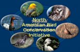 North American Bird Conservation Initiative. What NABCI is A vision — an approach to bird conservation A Forum — for working together to make conservation.