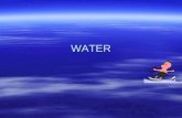 WATER. Biologically Important Things About Water.