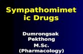 Sympathomimetic Drugs Dumrongsak Pekthong M.Sc.(Pharmacology)