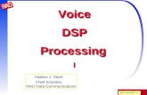 Stein VoiceDSP 1.1 Voice DSP Processing I Yaakov J. Stein Chief Scientist RAD Data Communications.