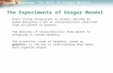 Lesson Overview Lesson Overview The Work of Gregor Mendel The Experiments of Gregor Mendel Every living thing—plant or animal, microbe or human being—has.