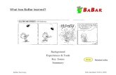 Bob Jacobsen Feb 6, 2000 BaBar Summary What has BaBar learned? Background Experiences & Tools Key Issues Summary Xnnn Related talks.