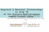 Regional & National Partnerships to Stop TB in the Eastern Mediterranean Region -lessons learnt Professor Mohamed Awad TagEldin Chair, Coordinating Board.