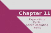 Chapter 11 Expenditure Cycle: Other Operating Items.