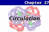 Chapter 27 Circulation. 2 Circulatory System Basics Fluid—bloodChannels—vessels A pump—the heart.