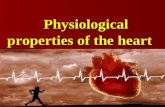 Physiological properties of the heart Physiological properties of the heart.