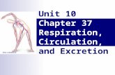 Unit 10 Chapter 37 Respiration, Circulation, and Excretion.