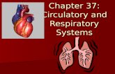 Chapter 37: Circulatory and Respiratory Systems Circulation: Structure and Function Consists of heart, blood vessels, and blood Consists of heart, blood.