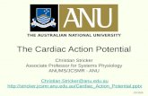 CS 2015 The Cardiac Action Potential Christian Stricker Associate Professor for Systems Physiology ANUMS/JCSMR - ANU Christian.Stricker@anu.edu.au anu.edu.au