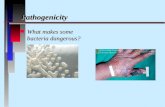 Pathogenicity n What makes some bacteria dangerous?