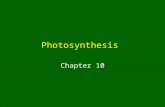 Photosynthesis Chapter 10. Photosynthesis Light energy stored as chemical energy for future use Original source of energy for other organisms Except for.