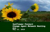 1 Sunflower Project Change Agent Network Meeting #12 May 13, 2010.