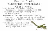 Marine Birds (Subphylum Vertebrata; Class Aves) Birds evolved from reptiles (dinosaurs) approximately 150-200 million years ago during the Jurassic period.