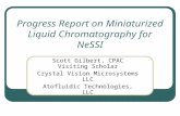 Progress Report on Miniaturized Liquid Chromatography for NeSSI Scott Gilbert, CPAC Visiting Scholar Crystal Vision Microsystems LLC Atofluidic Technologies,