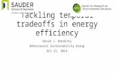 Tackling temporal tradeoffs in energy efficiency David J. Hardisty Behavioural Sustainability Group Oct 21, 2014.