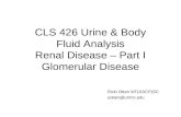 CLS 426 Urine & Body Fluid Analysis Renal Disease – Part I Glomerular Disease Ricki Otten MT(ASCP)SC uotten@unmc.edu.