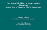 Sectoral Shifts or Aggregate Shocks? A New Test of Sectoral Shifts Hypothesis Yanggyu Byun Korea Economic Research Institute Hae-shin Hwang Texas A&M University.