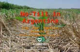 No-Till in Argentina Ing. Agr. Agust­n Bianchini bianchini@  bianchini@  No-Till Farmerâ€™s Argentinean Association No-Till Farmerâ€™s