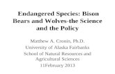 Endangered Species: Bison Bears and Wolves-the Science and the Policy Matthew A. Cronin, Ph.D. University of Alaska Fairbanks School of Natural Resources.