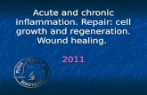 Acute and chronic inflammation. Repair: cell growth and regeneration. Wound healing. 2011