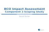 BCO Impact Assessment Component 3 Scoping Study David Souter.