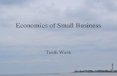 Economics of Small Business Tenth Week. Government Policy and Small Business.