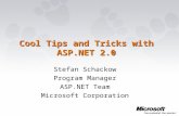 Cool Tips and Tricks with ASP.NET 2.0 Stefan Schackow Program Manager ASP.NET Team Microsoft Corporation.