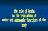 The neural organization of posterior brain Nuclei of cranial nerves: Nuclei of cranial nerves: sensory : V, VІІ, VІІІ, ІХ, Х, sensory : V, VІІ, VІІІ,