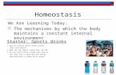 Homeostasis We Are Learning Today:  The mechanisms by which the body maintains a constant internal environment Starter: Sports drinks  Why do runners.