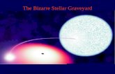 © 2004 Pearson Education Inc., publishing as Addison-Wesley The Bizarre Stellar Graveyard.