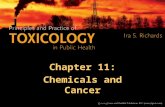 Chapter 11: Chemicals and Cancer. The etiology and pathophysiology of cancer is extremely complex. –Cancer is a collection of diseases that share common.