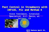 Pest Control in Strawberry with IRF135, Pic and Metham K Steve Fennimore, Extension Specialist U.C. Davis, at Salinas, CA UCCE Ventura April 23, 2015.