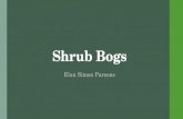 Shrub Bogs Elan Simon Parsons. Terms to know Shrubby  Woody plants, low height Peat  Collected organic soil  Characteristic of wetlands.