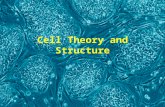 Cell Theory and Structure. Development of the Light Microscope Evolution of the Cell Theory Spontaneous Generation Disproven Histochemistry, Mitosis,