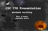 CSC 778 Presentation Waveband Switching Neil D’souza Jonathan Grice.