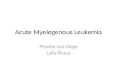 Acute Myelogenous Leukemia Phoebe San Diego Laila Rivera.