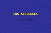 CNS ABSCESSES M.MOLAVI MD. CNS ABSCESSES Focal pyogenic infections of the central nervous system Exert their effects mainly by: –Direct involvement &