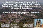 Martin-Luther-Universität Halle-Wittenberg Institut für Physik NMR group Multi-Frequency Proton NMR Relaxation for the Study of Protein Rotational Diffusion: