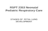 RSPT 2353 Neonatal Pediatric Respiratory Care STAGES OF FETAL LUNG DEVELOPMENT.